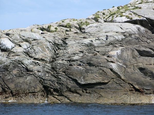 croisiere-doubtfulsound 3289 (Copier)