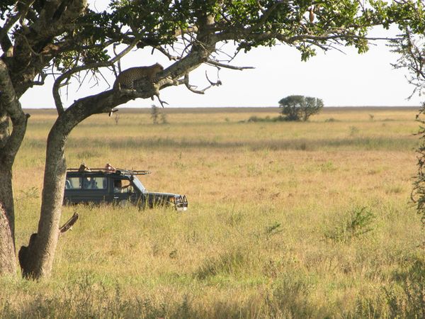 TANZANIE 039 10