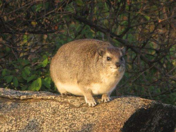 TANZANIE 007 7