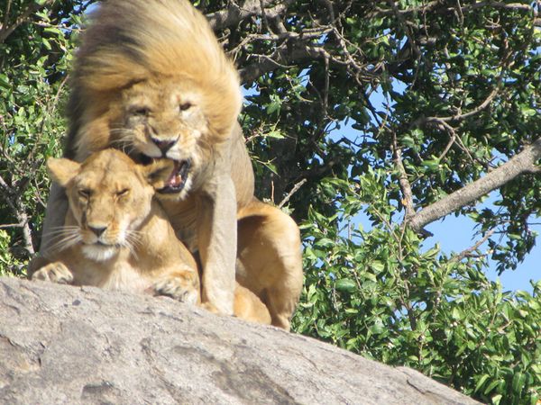 TANZANIE 058 7