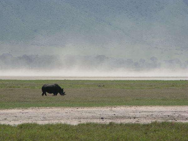 TANZANIE 050 6