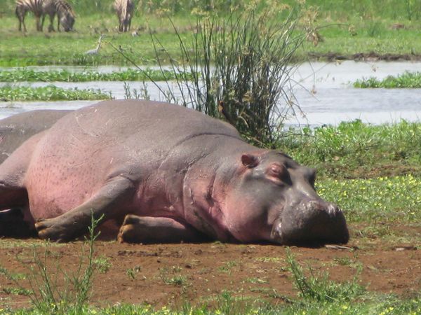 TANZANIE 014 11