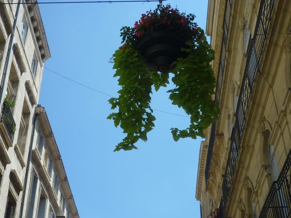 P1000717