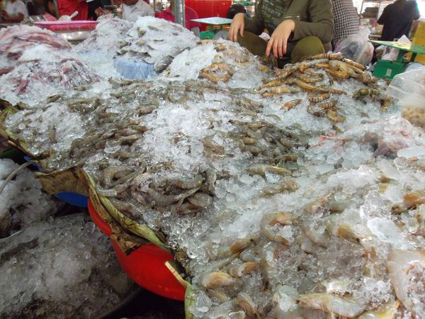 Phnom Penh, marché 5