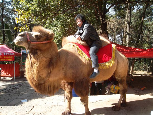 Kunming, golden temple 4