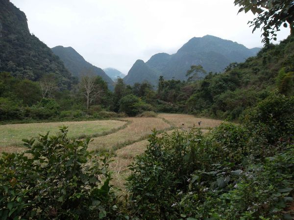 Muang Ngoi Neua vue generale