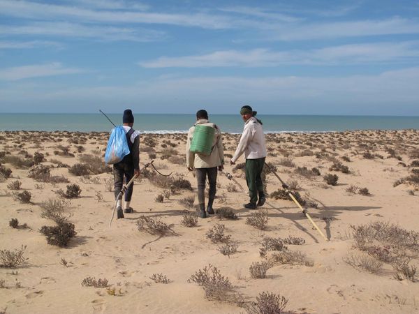 Les pecheurs dans une dunes 1