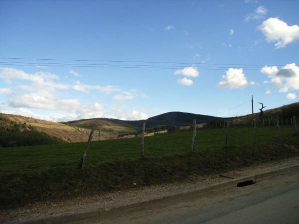 RIMG0006--2-.JPG