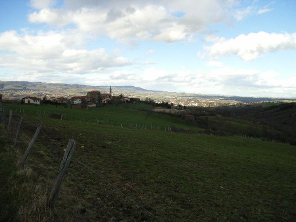 RIMG0009.JPG