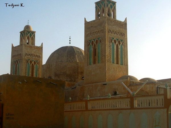 La-mosquee-fondee-par-les-Tedjani.Tedjani.2010.jpg