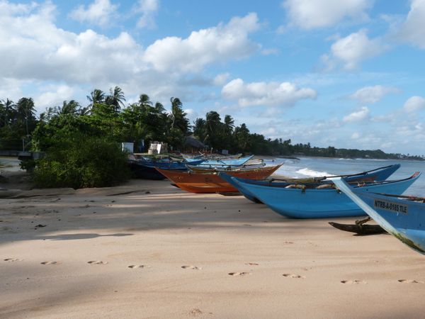 447. Tangalle