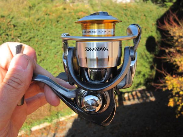 freams Daiwa8