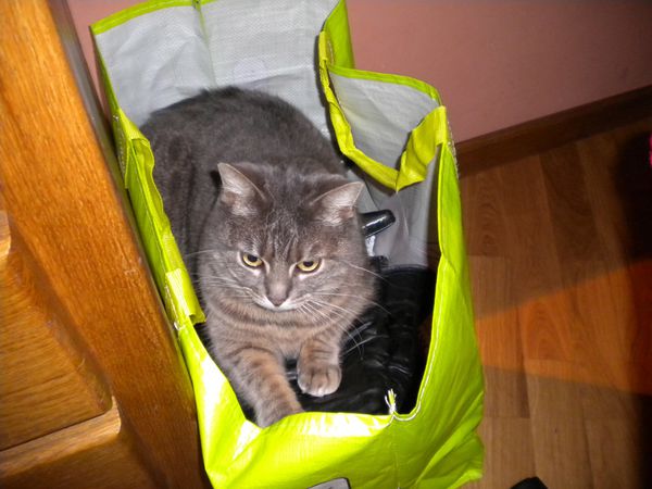 Babouche3