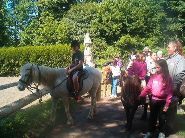 photos du poney25 05 2011 014