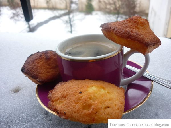 madeleines natures + café