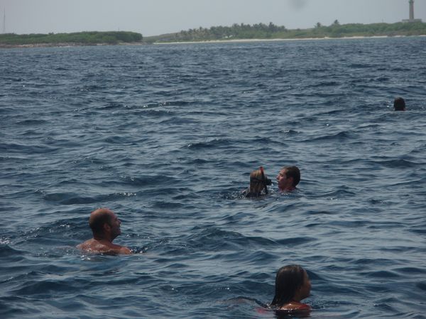 rencontre dauphin guadeloupe