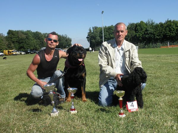 club de rencontre chien