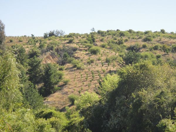 DSC06092