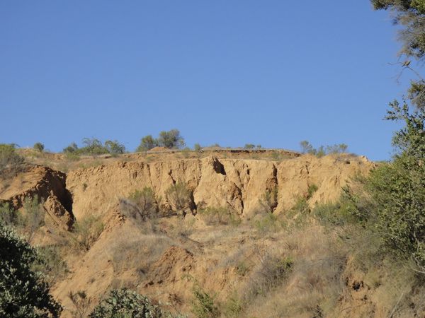 DSC06095