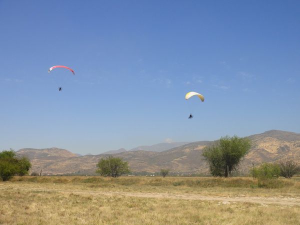 DSC03491