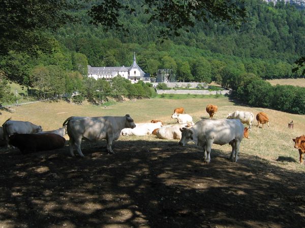 chalais 15 08 09 009