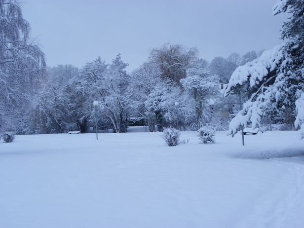 songeons sous la neige 016