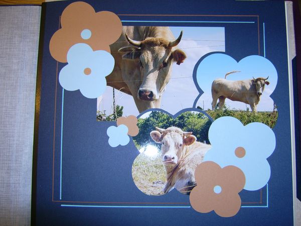 page scrap-cé (1)