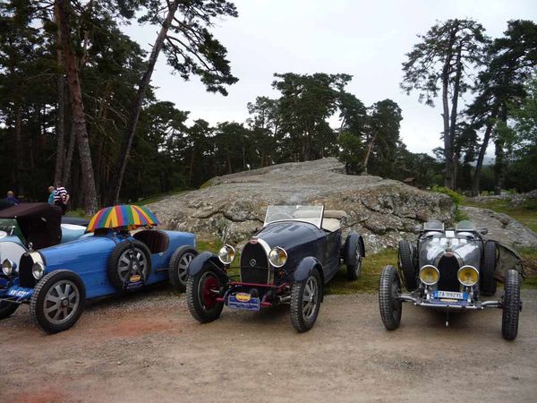 Bugatti Meeting 5696 11