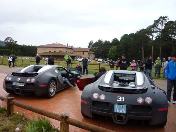 Bugatti Meeting 5696 14
