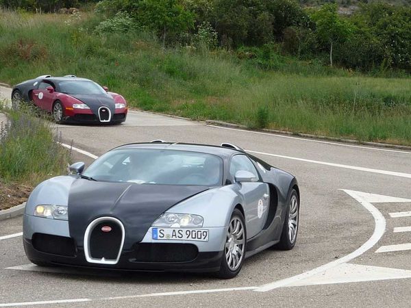 Bugatti Meeting 5696 19