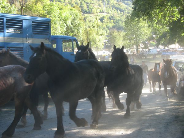 Espagne 4540