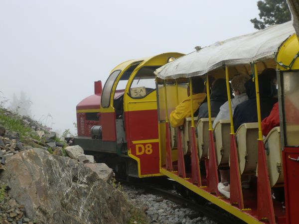 316.JPG