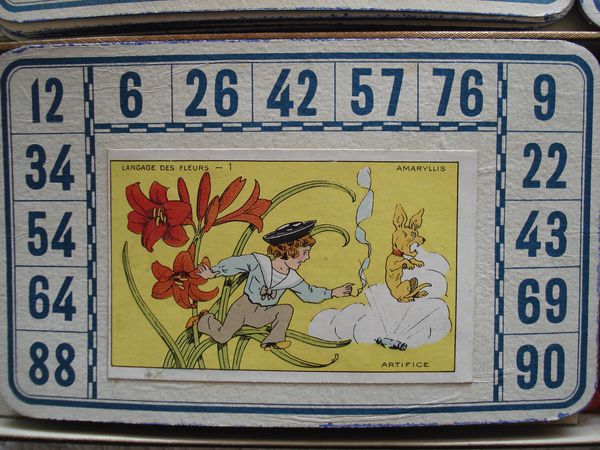 t loto comique fleurs 01