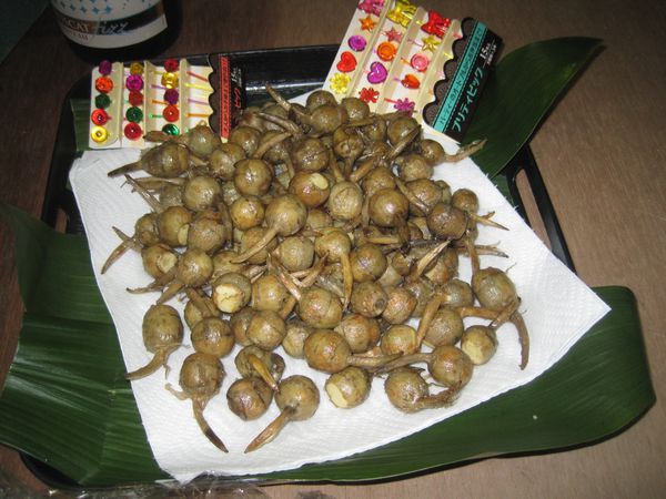 Chadogu 0020