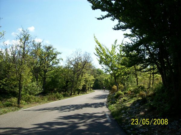 20080523-014 Mont Ventoux (Vaucluse)