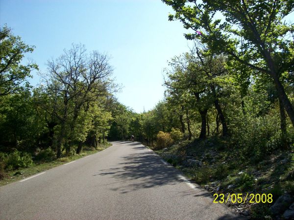 20080523-015 Mont Ventoux (Vaucluse)