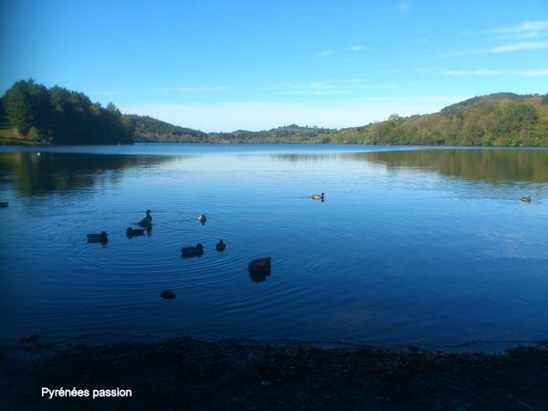 promenades-depuis-le-gite 3827