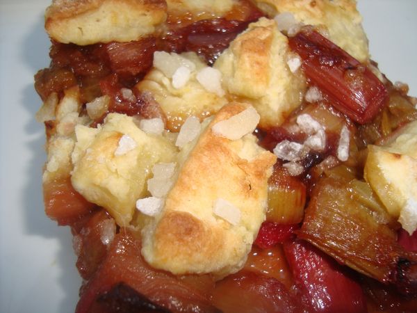 0000 cobbler rhubarbe (13)
