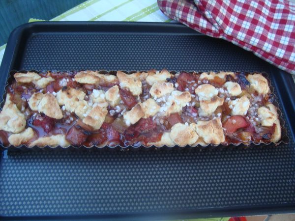 cobbler rhubarbe (6)