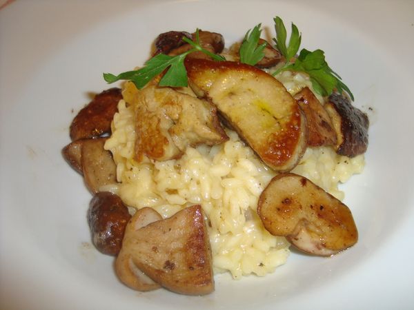 000 risotto foie gras et cepes (4)