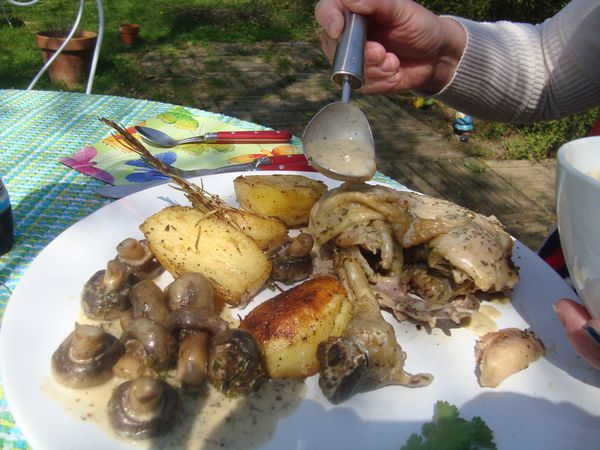 000 poulet aux herbes (12)