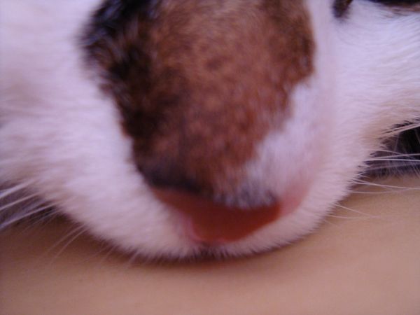 000000 abmogO (2)