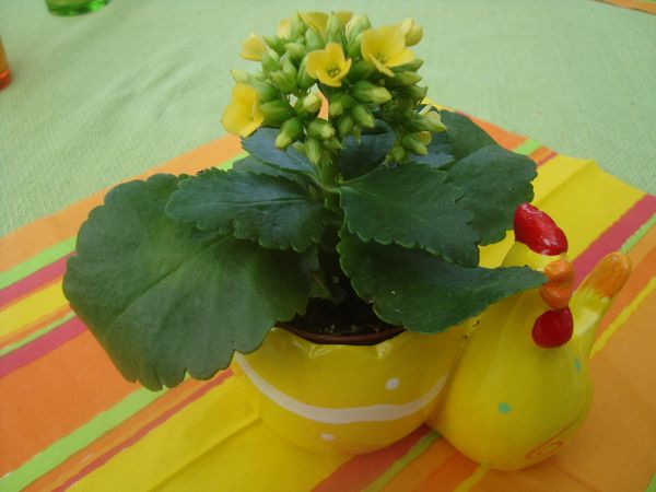 000 1er avril 2013 (20)