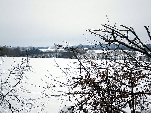 NEIGE6.jpg