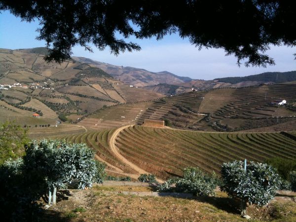 Douro.JPG
