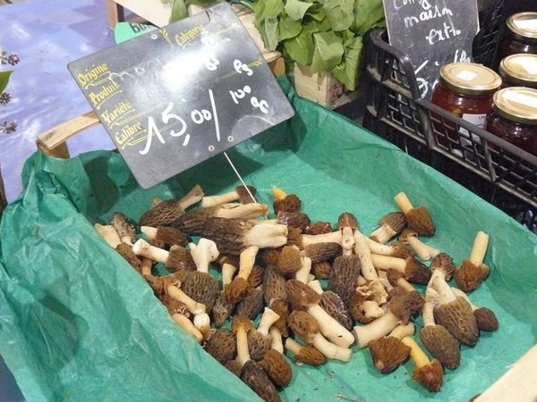 CANN2012 386