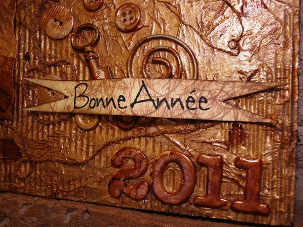 Bonne-annee-2011-detail.JPG