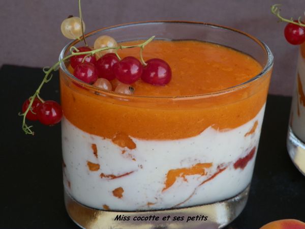 panna-cotta-a-l-abricot--4-.JPG