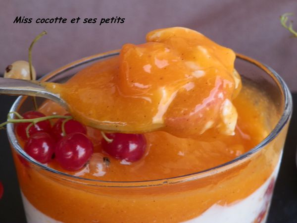panna-cotta-a-l-abricot--7-.JPG