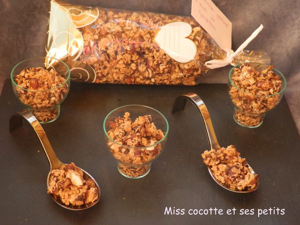 granola--praline-aux-noisettes-et-miel--2-.JPG